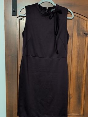 The Limited Sleeveless Sheath Dress in Plum